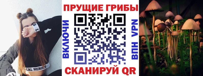 Псилоцибиновые грибы ЛСД  Абакан 